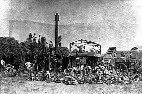 EL CORAZÓN DEL CAIMÁN - Pilar Ruiz