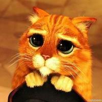 10 tipos de clientes