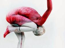 arte bodypainting