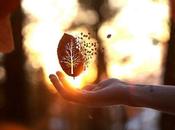 Cristales para alma diferente...