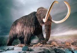 sueño con mamut