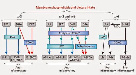 Las agüjetas y los suplementos