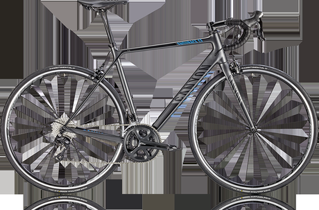 Canyon Endurace CF 8.0