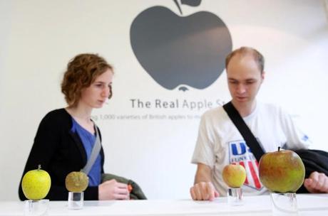 RealAppleStore4