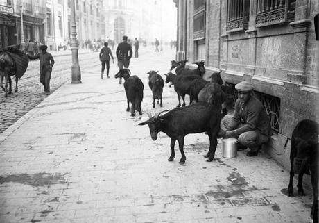 #Historiaycomida: los lecheros