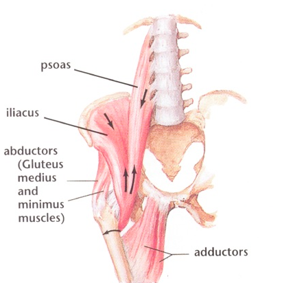 Osteopatía de Pubis o Pubalgia. Vivencia en la fisioterapia.