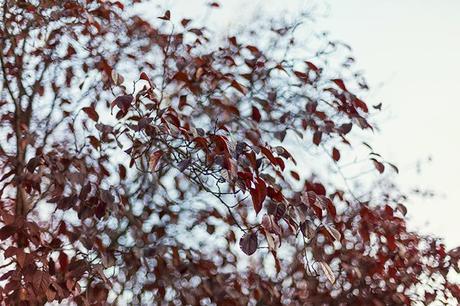 street style warm fall days white dress autumn hake bag fashion blogger outfit blog de moda street style warm fall days white dress autumn hake bag fashion blogger outfit blog de moda