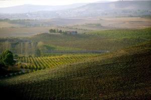 Los campos de Argiolas