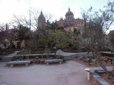 Vistas de la Catedral de Salamanca