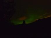 fin, aurora boreal ante ojos!!