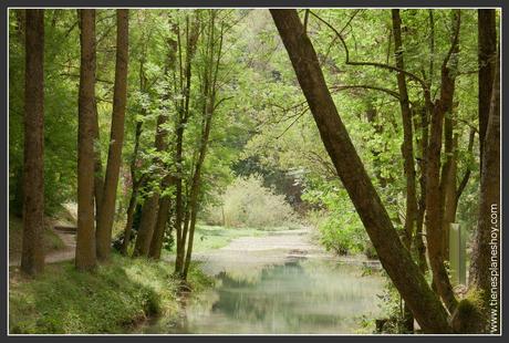 Fontibre Nacimiento Río Ebro