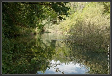 Fontibre Nacimiento Río Ebro