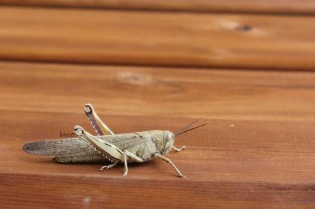 Tips fotografía: Parámetros en Manual 3 Tips fotografía: Parámetros en Manual 3