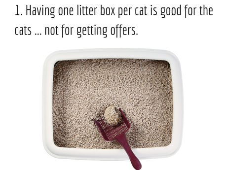 10 imágenes de cómo NO preparar la vivienda para la venta arenero-gato