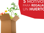 motivos para regalar huerto