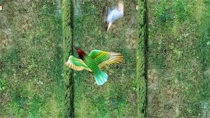 MADATAC 06 y Ausín Sáinz.