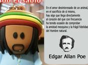 [Bob Sabio] Animales #cita