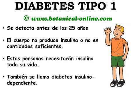 TERAPIA CELULAR PARA TRATAMIENTO DIABETES