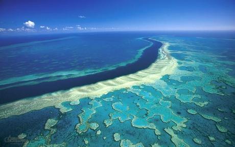 La Gran Barrera de Coral es un ecosistema que requiera una especial protección