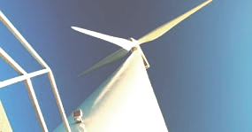 Ikea también avanza en energías renovables no convencionales (ERNC)