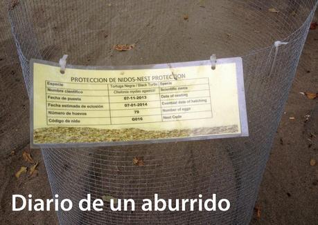 Costa Rica (y 3). La playas del Pacífico