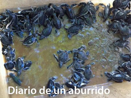 Costa Rica (y 3). La playas del Pacífico