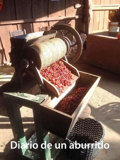 Costa Rica (2). Tierra de volcanes y café