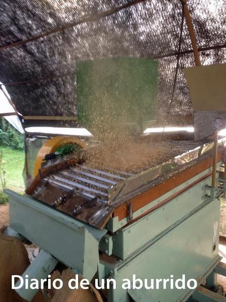 Costa Rica (2). Tierra de volcanes y café