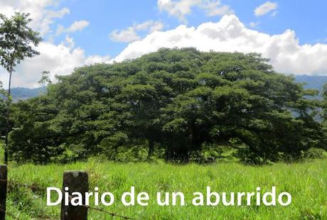 Costa Rica (2). Tierra de volcanes y café