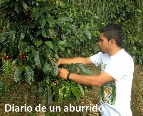Costa Rica (2). Tierra de volcanes y café
