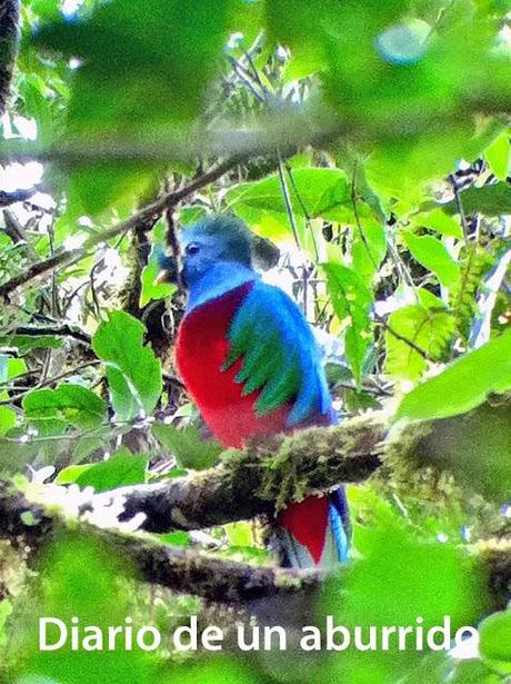 Costa Rica (2). Tierra de volcanes y café