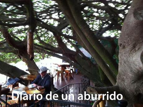 Costa Rica (2). Tierra de volcanes y café