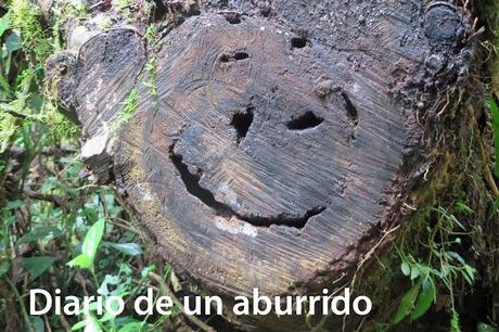 Costa Rica (2). Tierra de volcanes y café