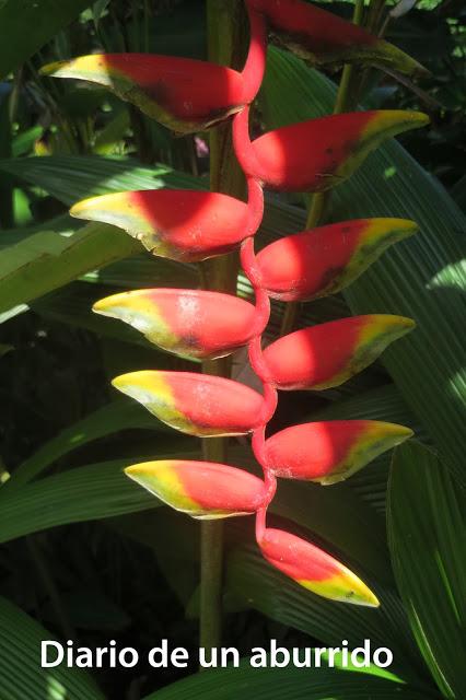Costa Rica (2). Tierra de volcanes y café