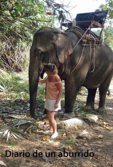 Pollo con curry verde y leche de coco (Tom Kha Kai) Un gran favorito de la cocina tailandesa