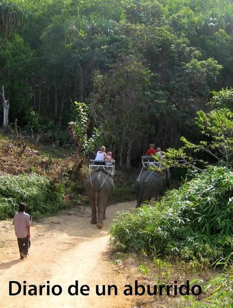 Pollo con curry verde y leche de coco (Tom Kha Kai) Un gran favorito de la cocina tailandesa
