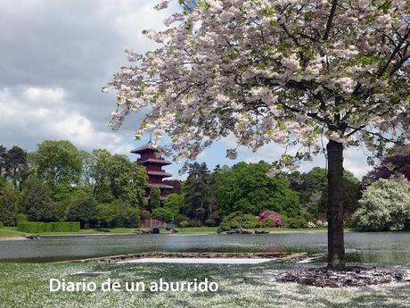 Qué hacer en Mayo en Bruselas: los invernaderos reales, una exposición de Hokusai y el Jazz Marathon