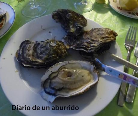 Persiguendo a los bogavantes del Mar del Norte