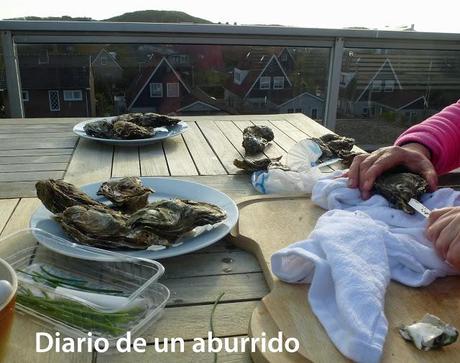 Persiguendo a los bogavantes del Mar del Norte