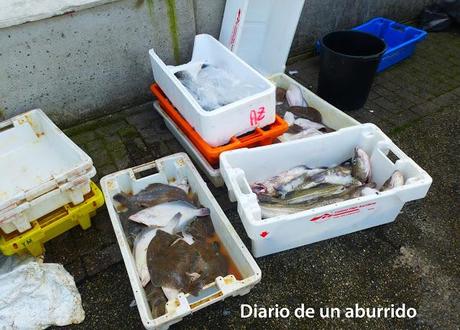 Persiguendo a los bogavantes del Mar del Norte