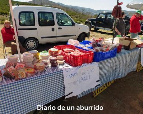 Los cerezos en flor del valle del Jerte