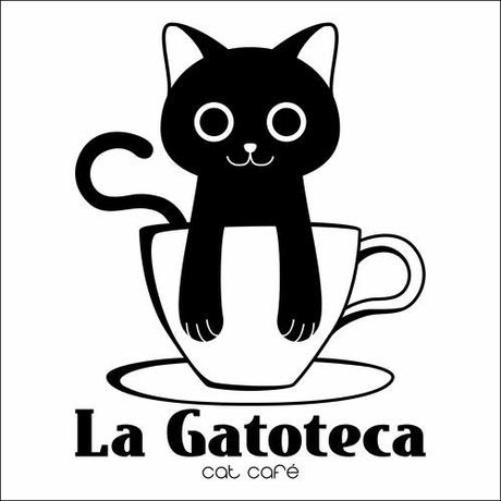 abriga, adopcion, cafe, curiosidad, donde ir, gatito, gato, la gatoteca, lugares, madrid, michi, mundo mejor, neko,
