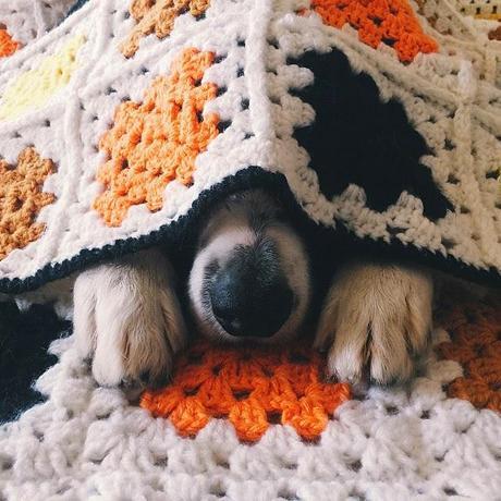 Algo de lluvia y relax Algo de lluvia y relax