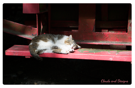 Proyecto de la A a la Z: Con la G...