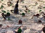pausa tras larga temporada triatlón.