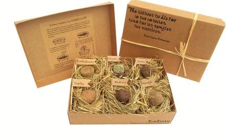 Planazo en Madrid: Mercado de motores pack regalo ecoquchu