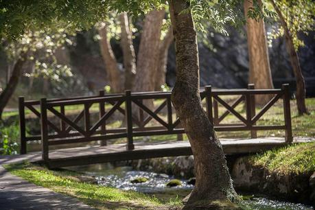 El Paisaje.