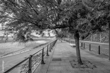 El Paisaje.