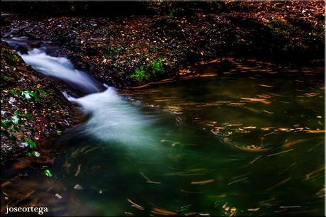 El Agua en Cantabria