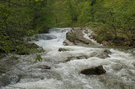 El Agua en Cantabria